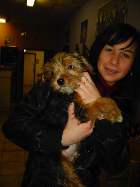 la petite mascotte  et moi
